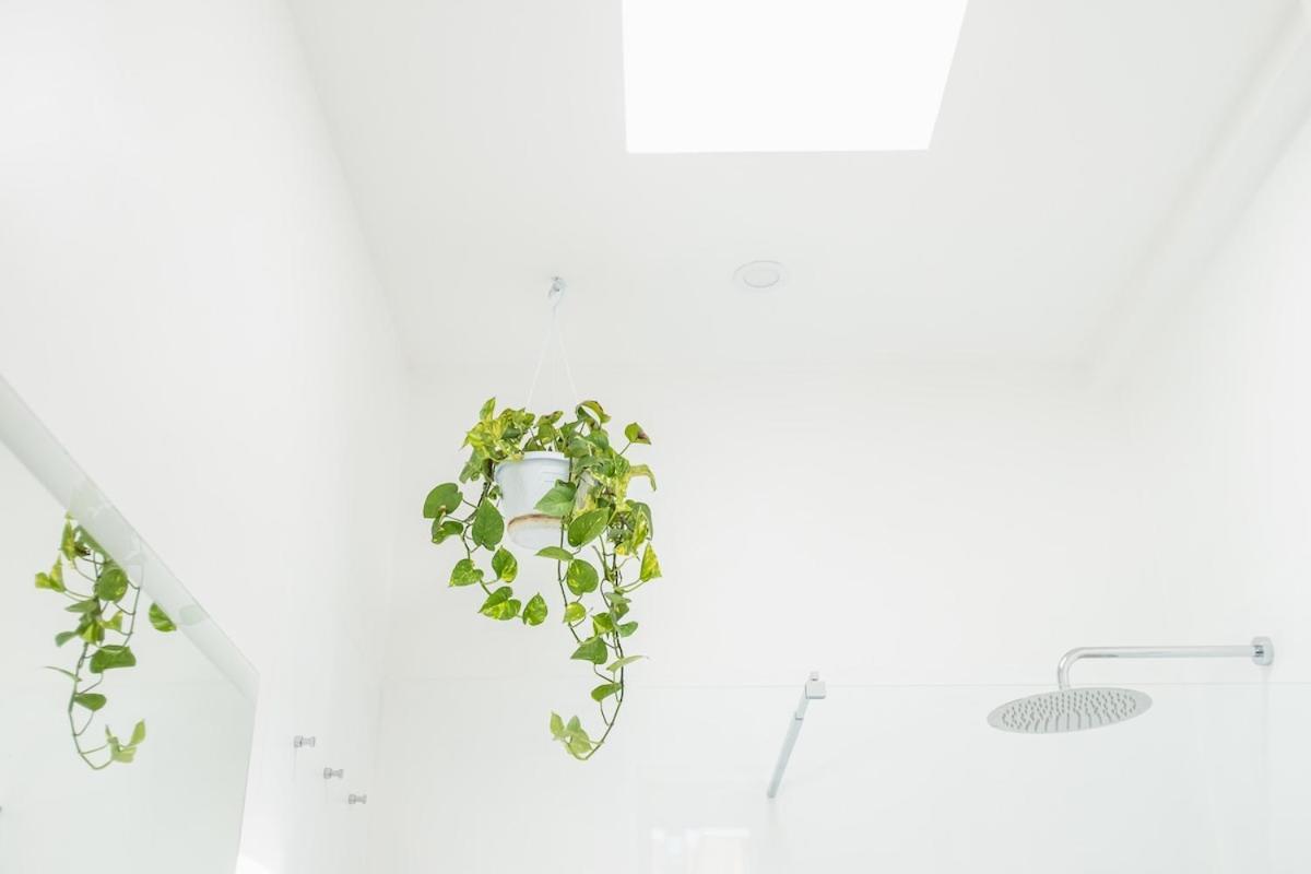 Design Loft With Free Private Parking * Turin